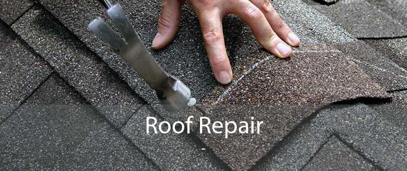 Roof Repair 
